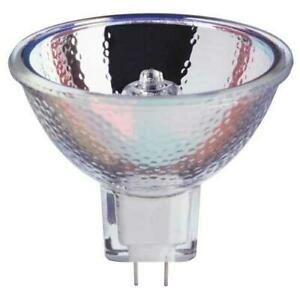 ENH Bulb