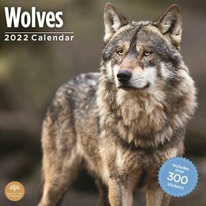 2022 Wolves Sticker Wall Calendar by Bright Day