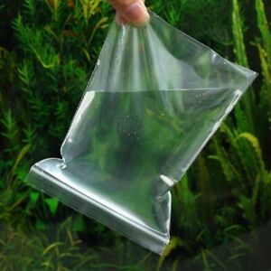100pcs Clear Plastic Bags Reclosable Self Seal Zip Lock Transparent Small Bags
