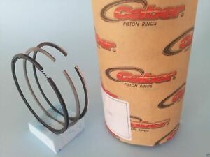 Piston Ring Set for RUGGERINI RY70 (79mm) Oversize [#8211229]