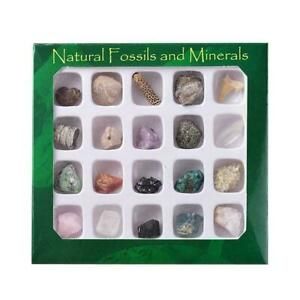 20PCS Rock Gemstones Collection Box Quartz Crystal Mineral Natural Specimen I1I5