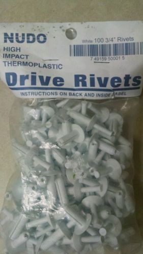 Nudo high impact thermoplastic white nylon 3/4 x 1/4 drive rivets (4-100) frp for sale
