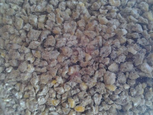 Layer crumbles 12+Pounds for chickens,ducks,ect..