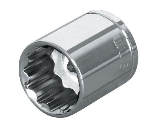 TEKTON 14175 3/8 in. Drive by 19mm Shallow Socket  Cr-V  12-Point
