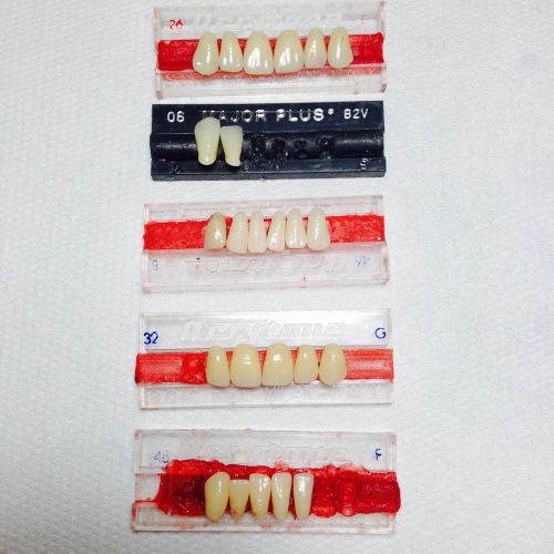 Resin teeth various measures dental