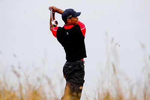 Tiger Woods ~ 18x24 New High Quality POSTER  [01331]