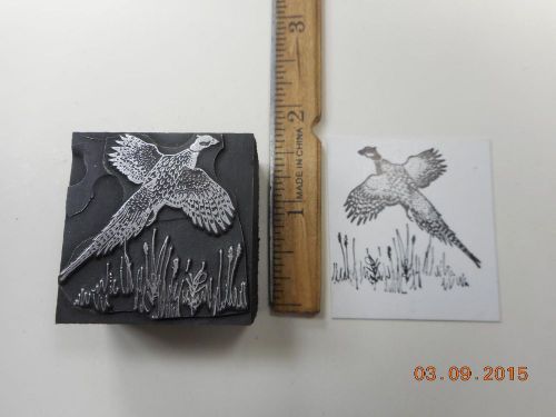 Letterpress Printing Printers Block, Ring Neck Pheasant Bird flying by Cattails