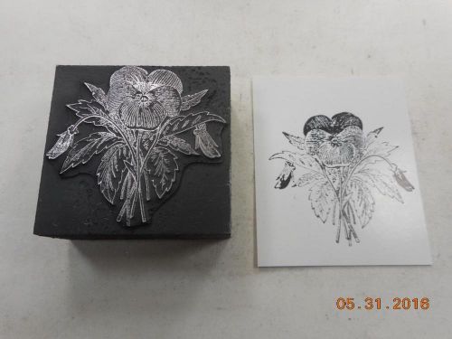 Letterpress Printing Block, Spectacular Pansy Flower with Buds, Type Cut
