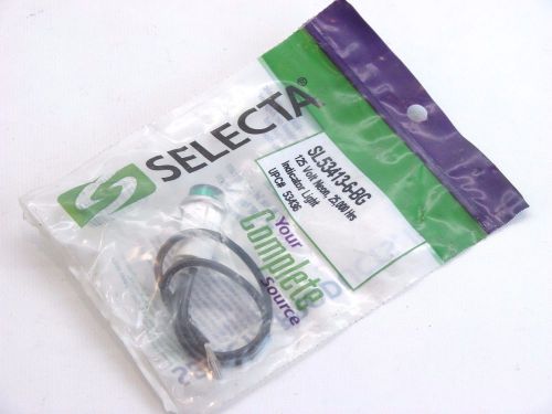 Selecta sl53413-6-bg 125v neon indicator light 25,000 hr. bulb  b268 for sale