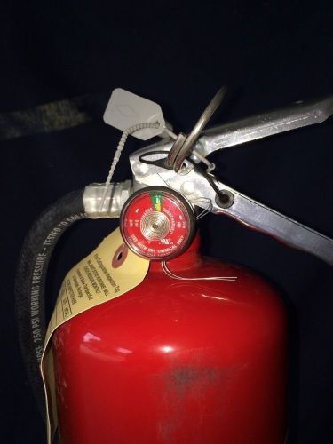 Brand New Buckeye Fire Extinguisher 10LB Class ABC