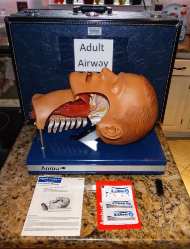 Ambu Airway Management Trainer Intubation Manikin Original
