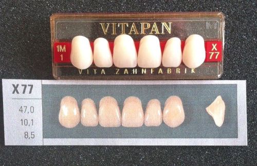 Vitapan Denture Teeth   X77   1M1