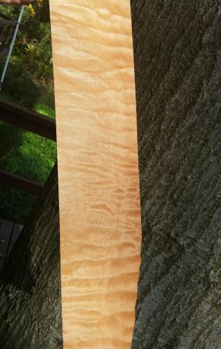 Quilted maple raw wood veneer 28&#034; x 3 3/4&#034; pillowed and pretty flat 1/42&#034; thick.