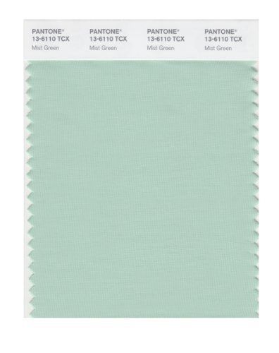 Pantone PANTONE SMART 13-6110X Color Swatch Card, Mist Green