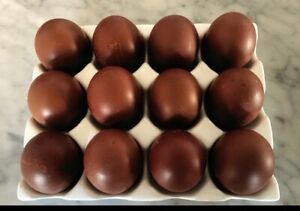10 + Black Copper Marans Hatching Eggs ~ Bev Davis and Greenfire Bloodlines