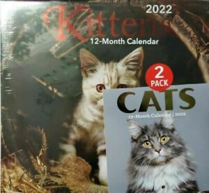 2 NEW KITTENS 12 MONTH 2022 WALL CALENDAR 11X12 CATS MINI BONUS FOR $8.00