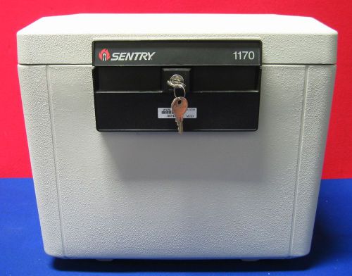 Sentry 1170 safe fire security file 0.6 cu ft for sale