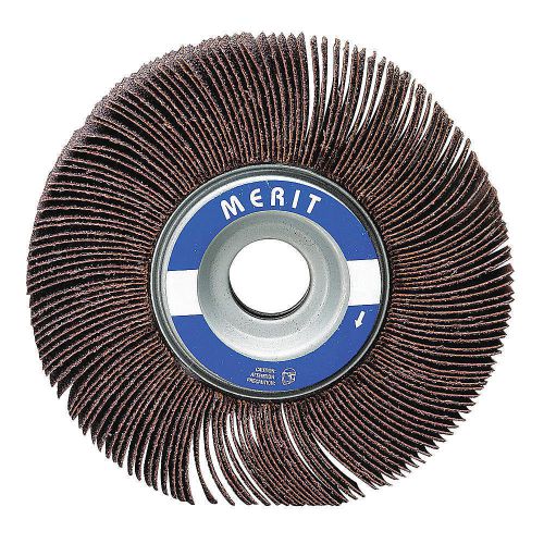 Flap wheel, 5/8  dia, 5/8  w, shk 1/8,  60 08834137480 for sale