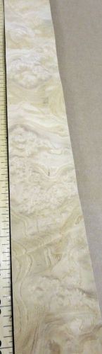 White ash burl wood veneer 2&#034; x 16&#034; no backing (raw veneer) for sale