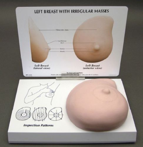 Anatomical soft left breast irregular masses model - overstock for sale