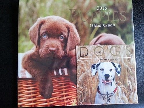 Calendar 2015 Puppies Wall 12-Month Mini Dogs New