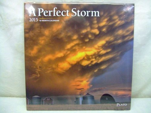 Brown Trout &#034;A Perfect Storm&#034; 12&#034; 2015 18 Month Calendar New Factory Sealed