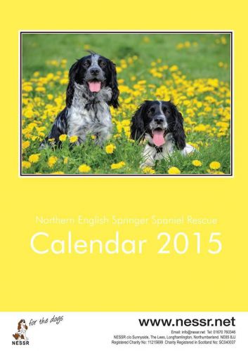 Northern English Springer Spaniel Rescue Calendar 2015