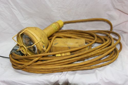 D. Woodhead - Hand Lamps | Hazardous Duty - Incandescent, 120v To 12V  100 Watt