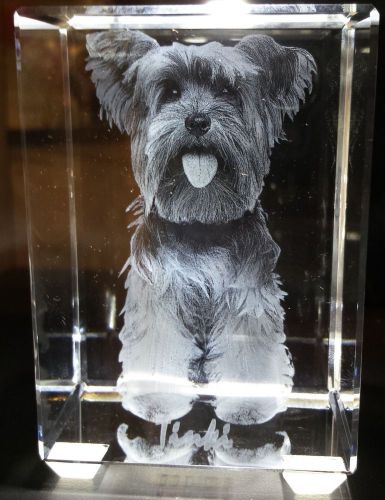 3D Laser photo engraving - Dog Picture (Small Tower)
