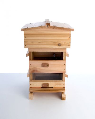 Warre hive for sale