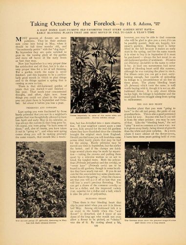 1909 article fall planting garden perennial peony adams - original gm1 for sale