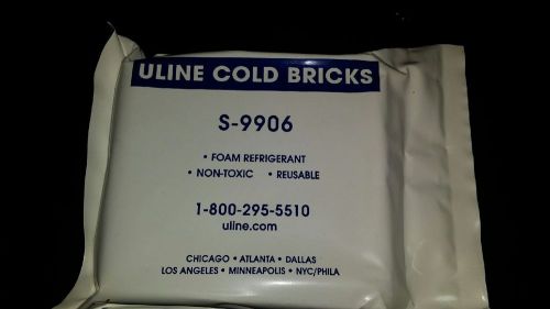 ULINE S-9909 15 oz. Cold Bricks 48/case  FDA compliant
