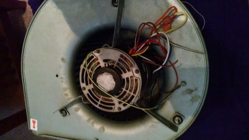 York blower motor with blower assembly housing &amp; squirrel cage 240v for sale