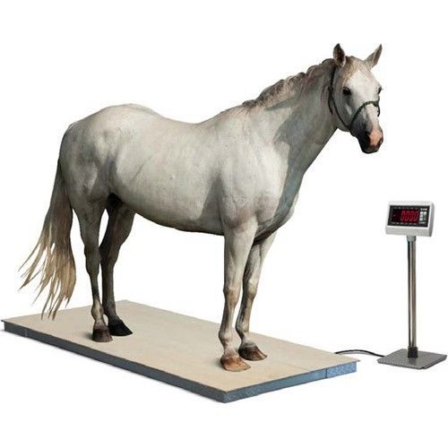 ~~ Horse Livestock Scales Scale Digital Vet Animal Electronic Weigh Warranty