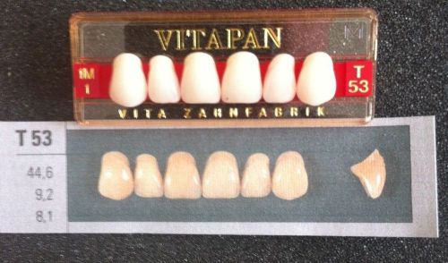 Vitapan Denture Teeth   T53   1M1