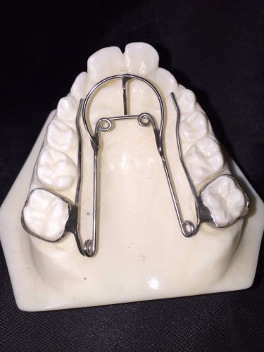 Dental Anatomy  Educational Model DENTURE PARTIAL RETAINER ORTHO