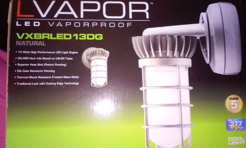 Outdoor Lighting RAB LED Vaporproof VXBRLED 13DG