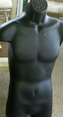 Male mannequin torso