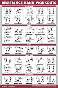 QuickFit Resistance Bands Workout Exercise Poster - Double Sided (Laminated, ...
