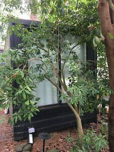 20 ft shipping container office