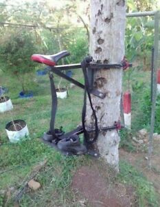 Coconut Tree Climbing Machine Tool Easy Safety High Quality100% Sri Lanka Ceylon