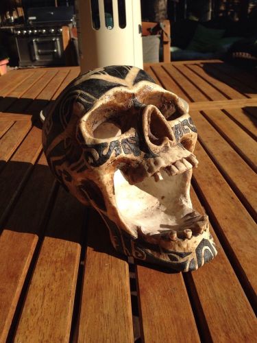 Fake Life-Size Skull