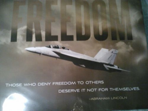 New jet aircraft picture with a saying from abraham lincoln freedom 20&#034; x 16&#034; for sale
