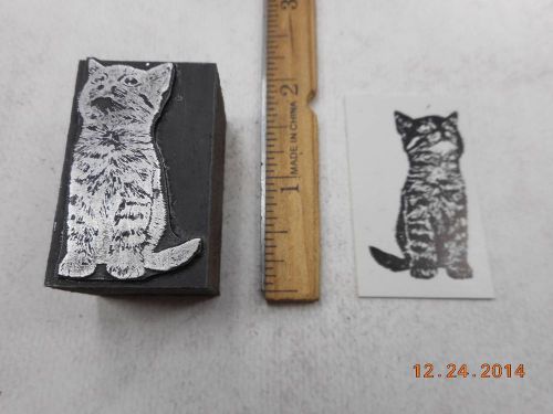 Letterpress Printing Printers Block, Darling Striped Kitten, Kitty Cat looks Up