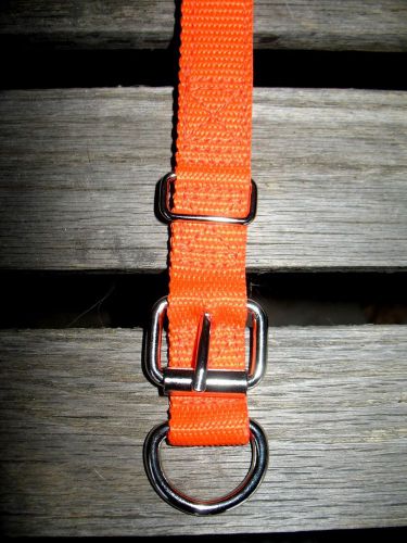 Calf collar  dairy calf collar 1&#034; x 32&#034; orange for sale