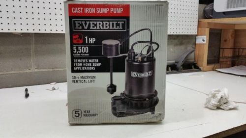 Everbilt 0.6 hp heavy duty cast iron sewage pump 1000026319 for sale