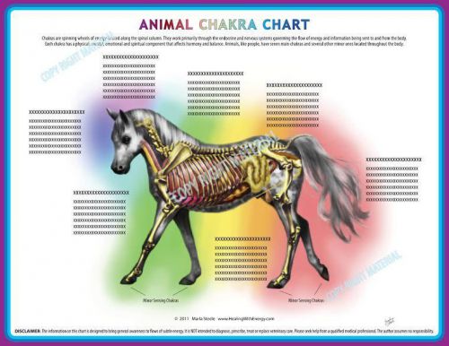 Chakra Energy Flow Charts for Animals- Canine, Equine, Feline Set of 3   #92539