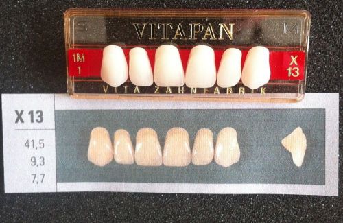 Vitapan Denture Teeth   X13   1M1