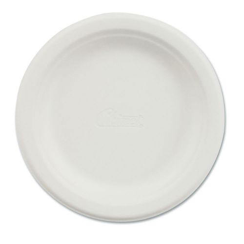 Chinet Paper Dinnerware and Plate