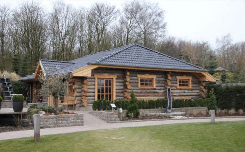 Scandinavian Log Homes for Sale - Silver-Grey Log Sauna S19